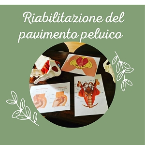 Riabilitazione pelviperineale